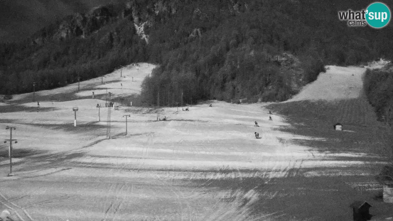 Webcam Station de ski Kranjska Gora – Slovénie