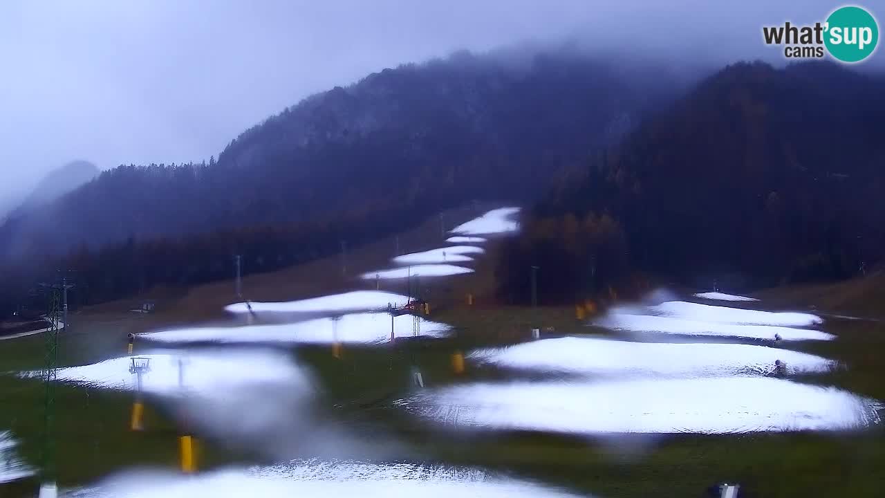 Webcam Kranjska Gora SKI – panoramica Piste centrali