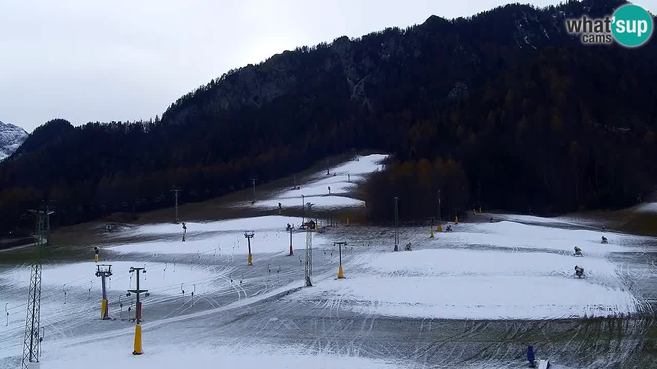 Webcam Kranjska Gora SKI – panoramica Piste centrali