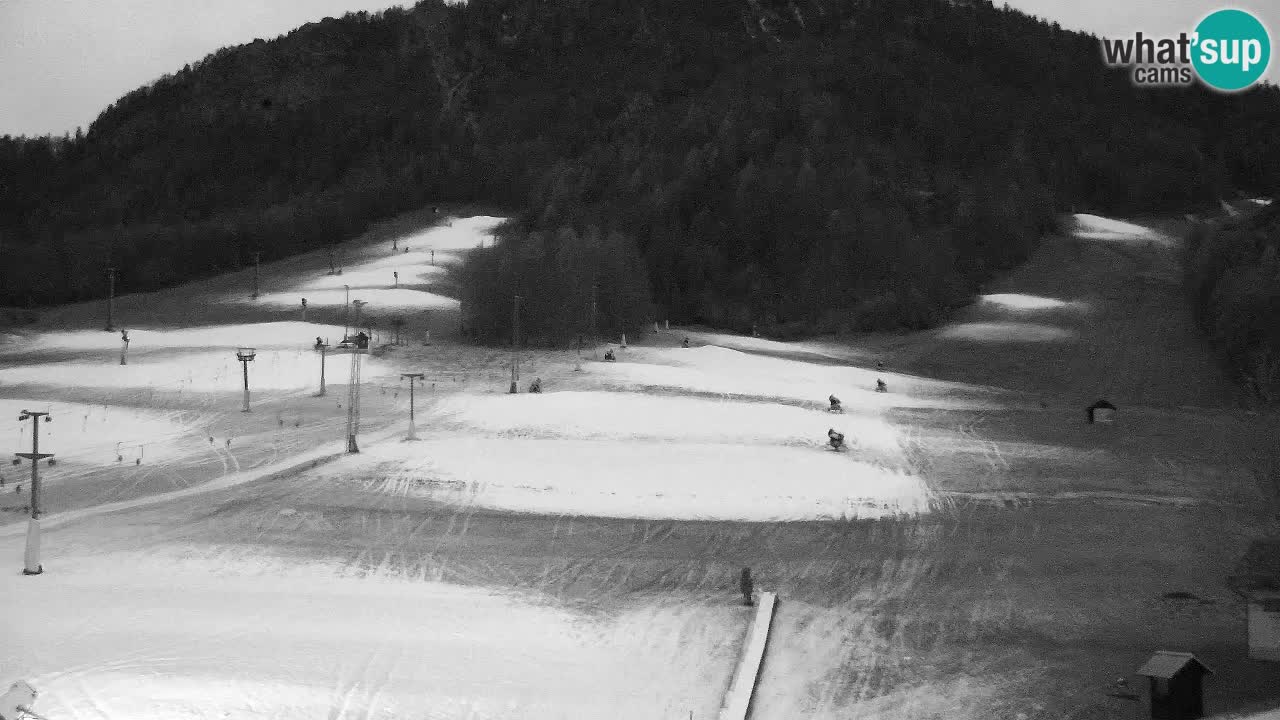 Webcam Kranjska Gora SKI – panoramica Piste centrali