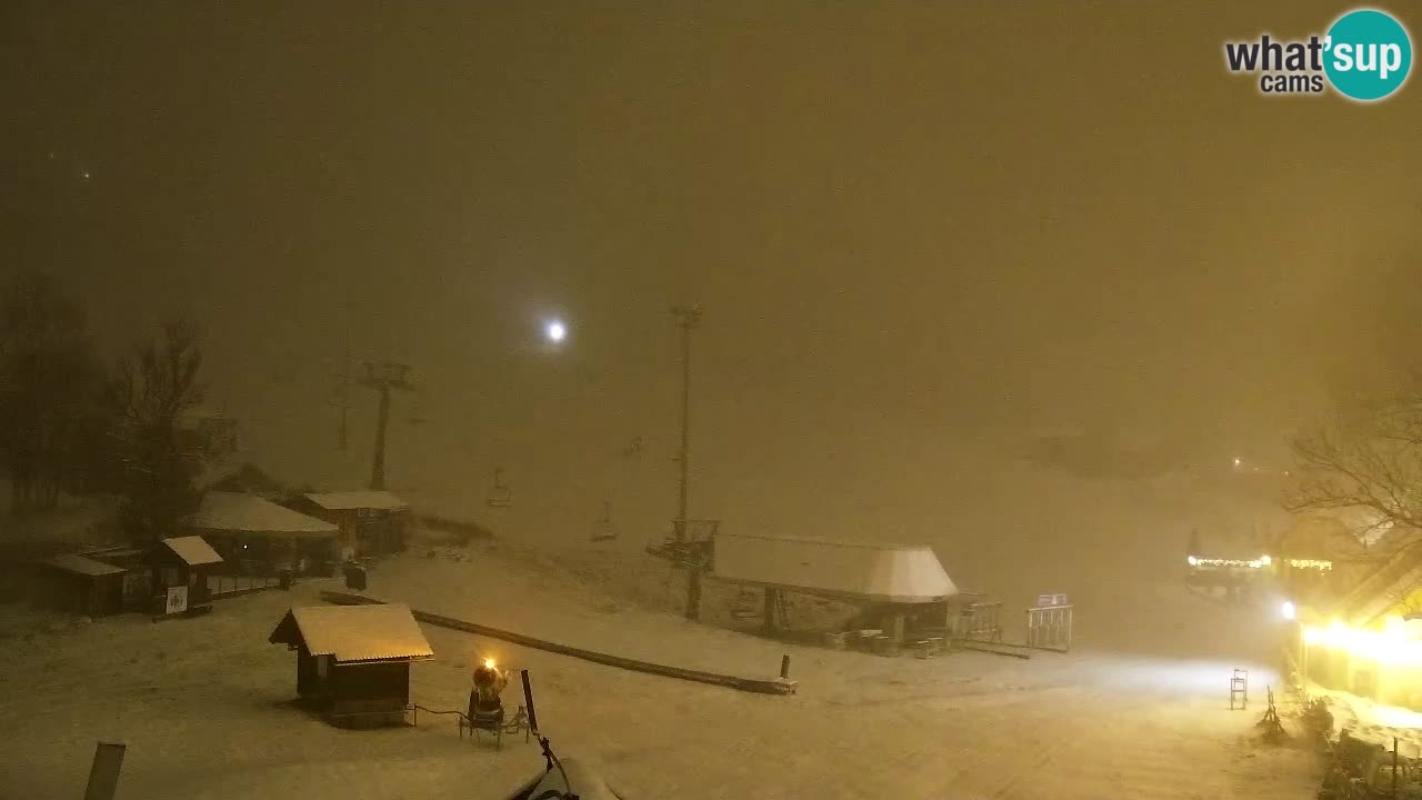 Webcam Kranjska Gora SKI – panoramica Piste centrali