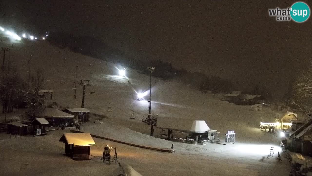 Webcam Kranjska Gora SKI – panoramica Piste centrali