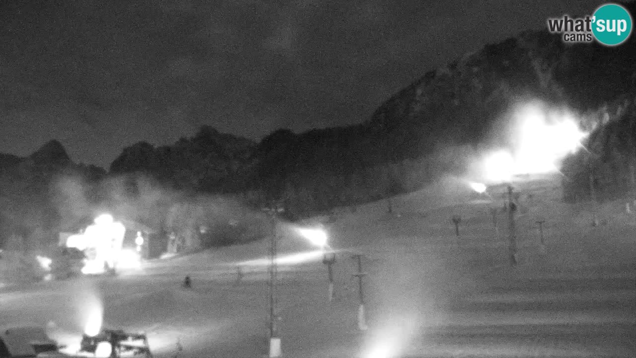 Webcam Kranjska Gora SKI – panoramica Piste centrali