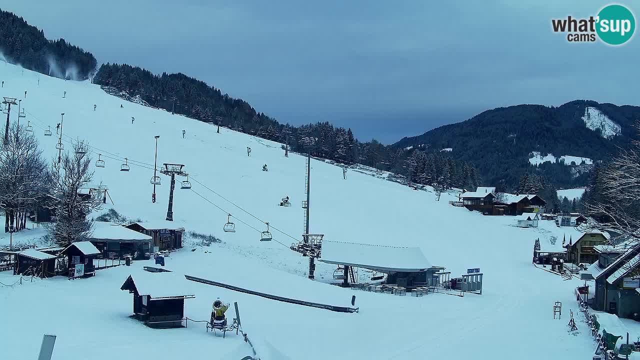 Webcam Kranjska Gora SKI – panoramica Piste centrali