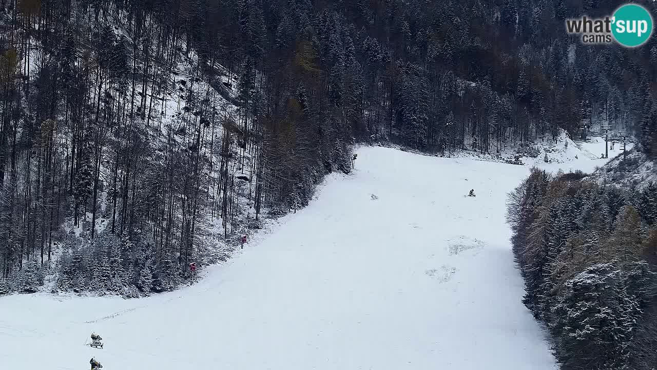 Webcam Kranjska Gora SKI – panoramica Piste centrali