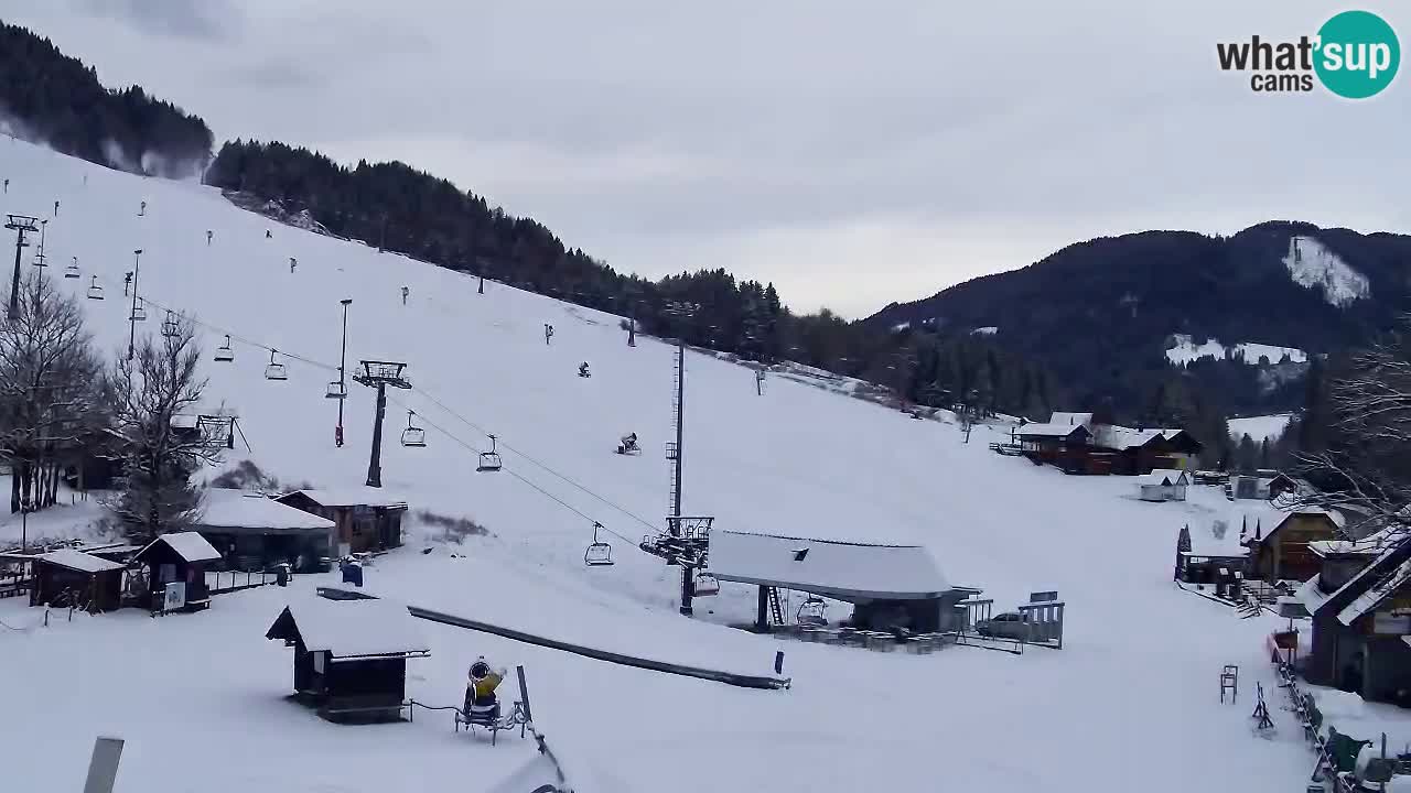 Webcam Kranjska Gora SKI – panoramica Piste centrali