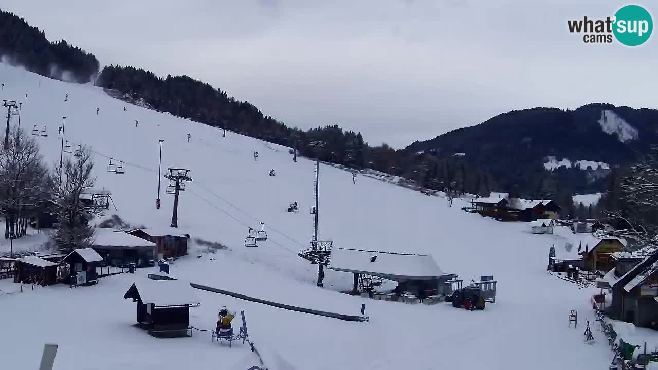 Webcam Kranjska Gora SKI – panoramica Piste centrali