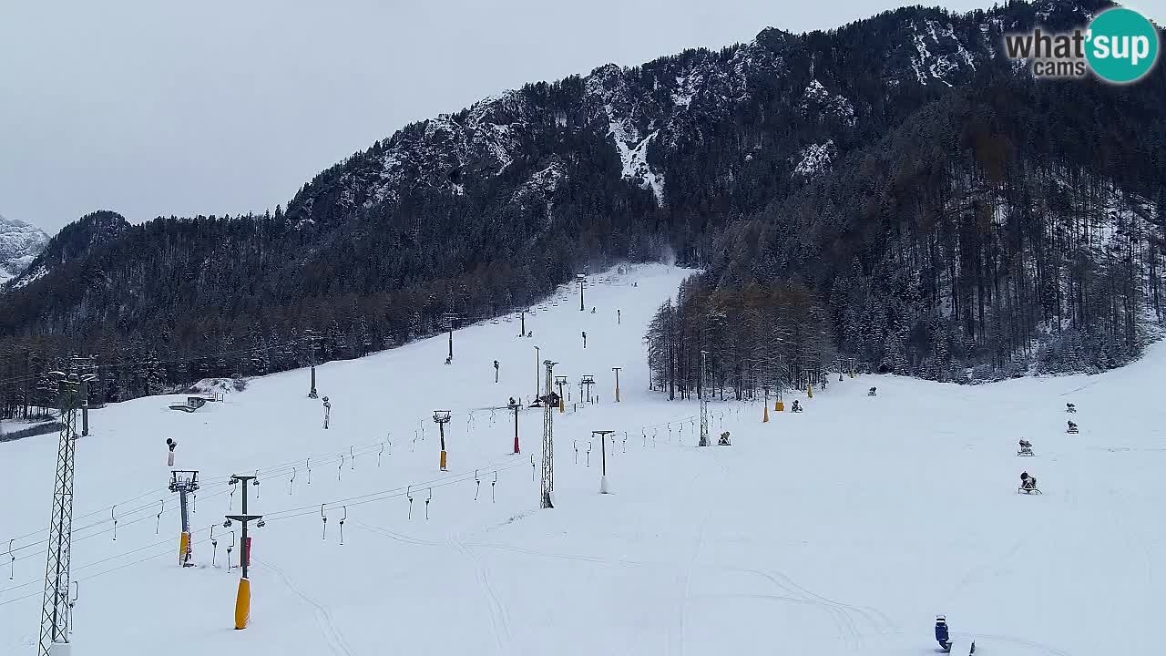 Webcam Kranjska Gora SKI – panoramica Piste centrali