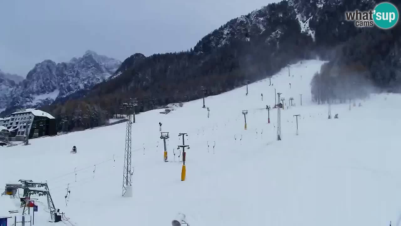 Webcam Kranjska Gora SKI – panoramica Piste centrali