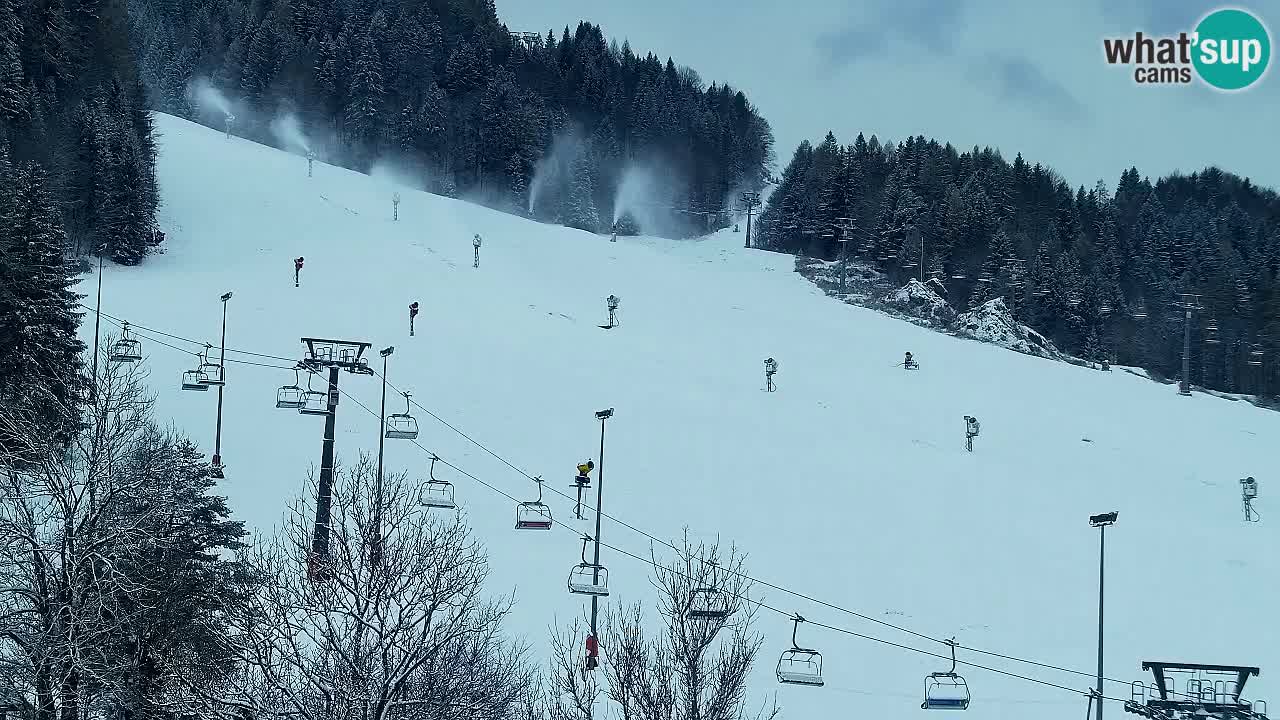 Webcam Kranjska Gora SKI – panoramica Piste centrali