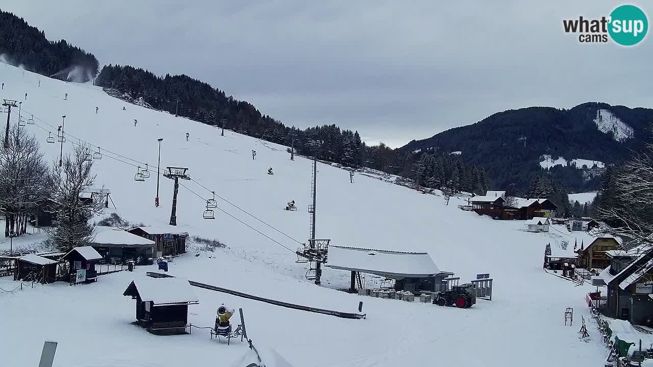 Webcam Kranjska Gora SKI – panoramica Piste centrali