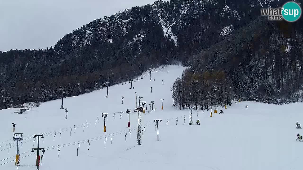 Webcam Skigebiet Kranjska Gora – Slowenien