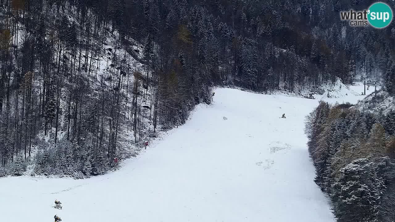 Webcam Skigebiet Kranjska Gora – Slowenien