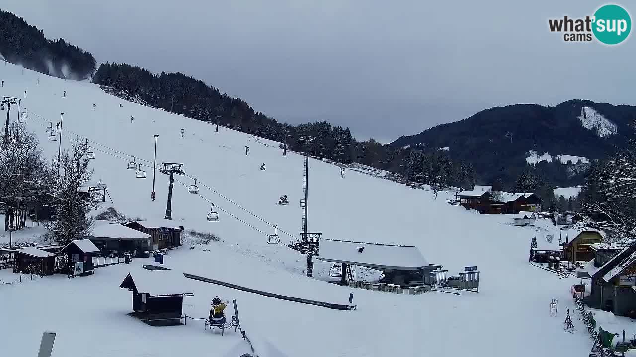 Webcam Skigebiet Kranjska Gora – Slowenien