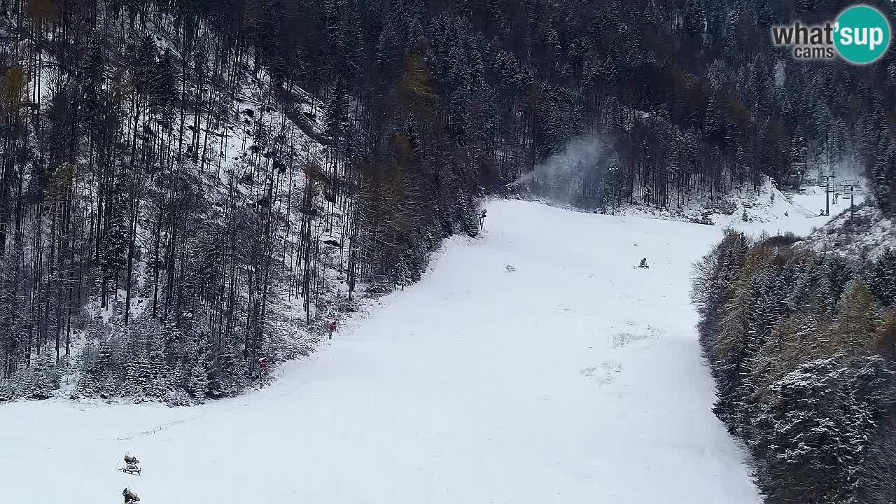 Webcam Kranjska Gora SKI – panoramica Piste centrali