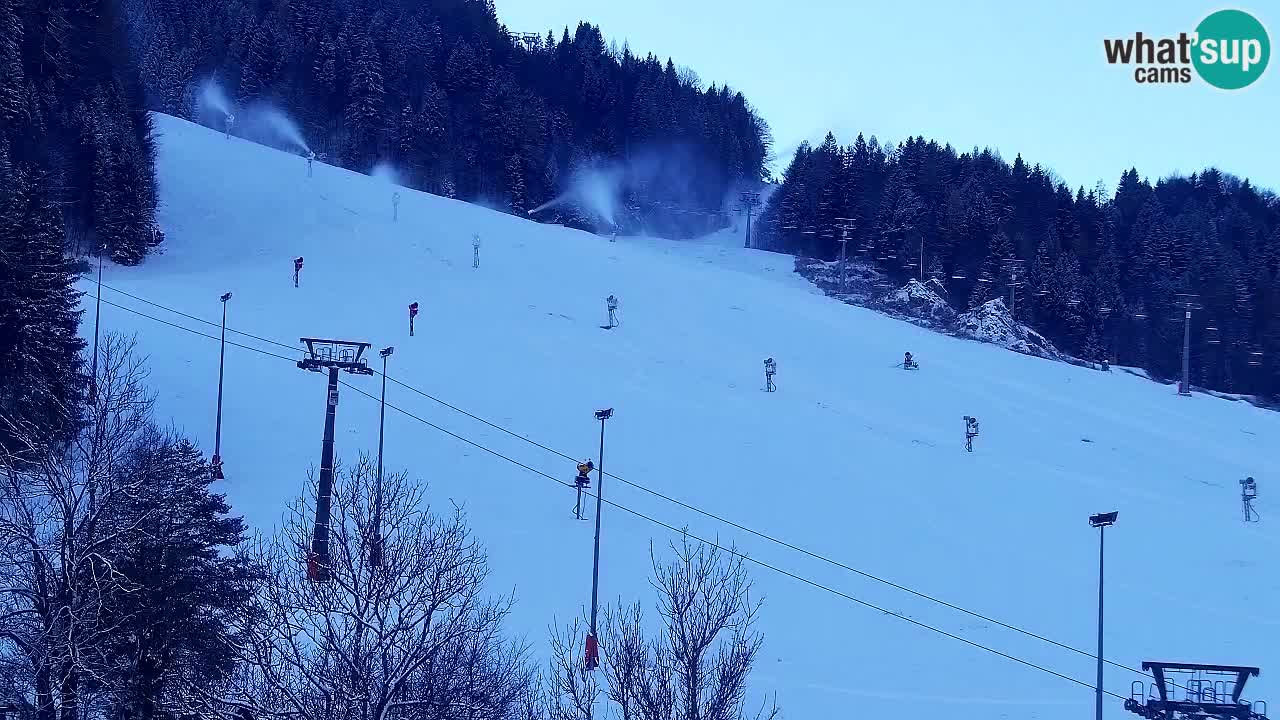 Web kamera Kranjska Gora Skijalište | Proge Mojca in Kekec