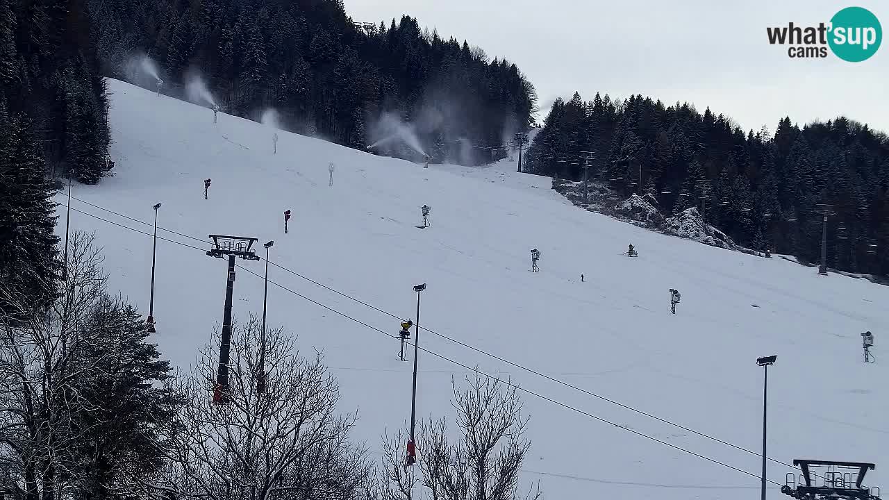 Kamera Kranjska Gora | Plaža in proge Kekec in Mojca