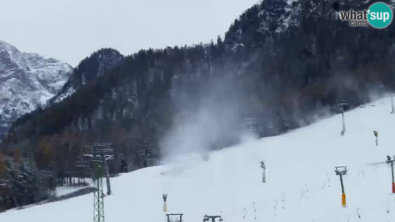 Webcam Kranjska Gora SKI – panoramica Piste centrali