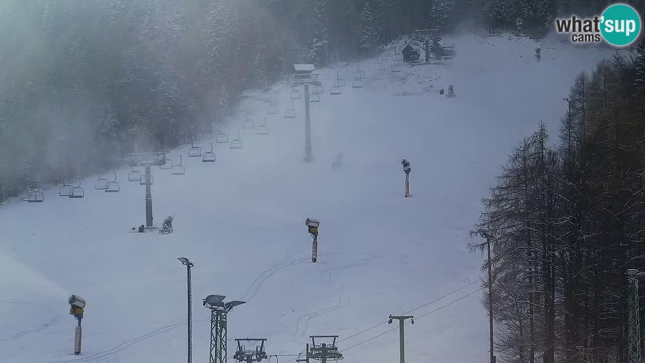 Webcam Kranjska Gora SKI – panoramica Piste centrali