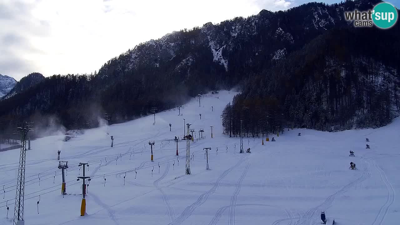 Webcam Kranjska Gora SKI – panoramica Piste centrali