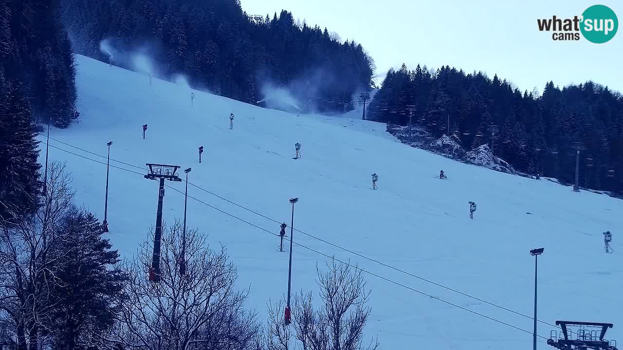 Webcam Kranjska Gora SKI – panoramica Piste centrali