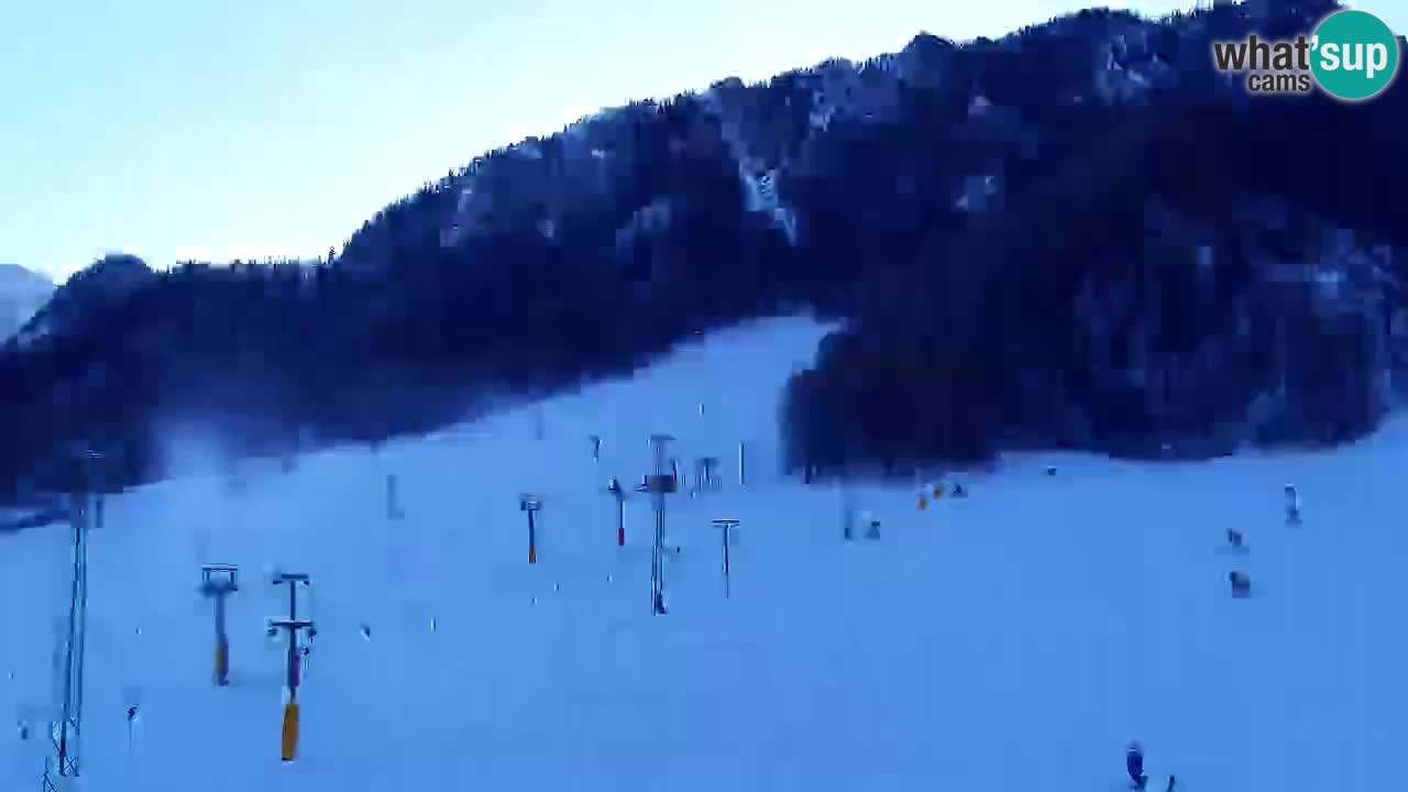 Webcam Kranjska Gora SKI – panoramica Piste centrali