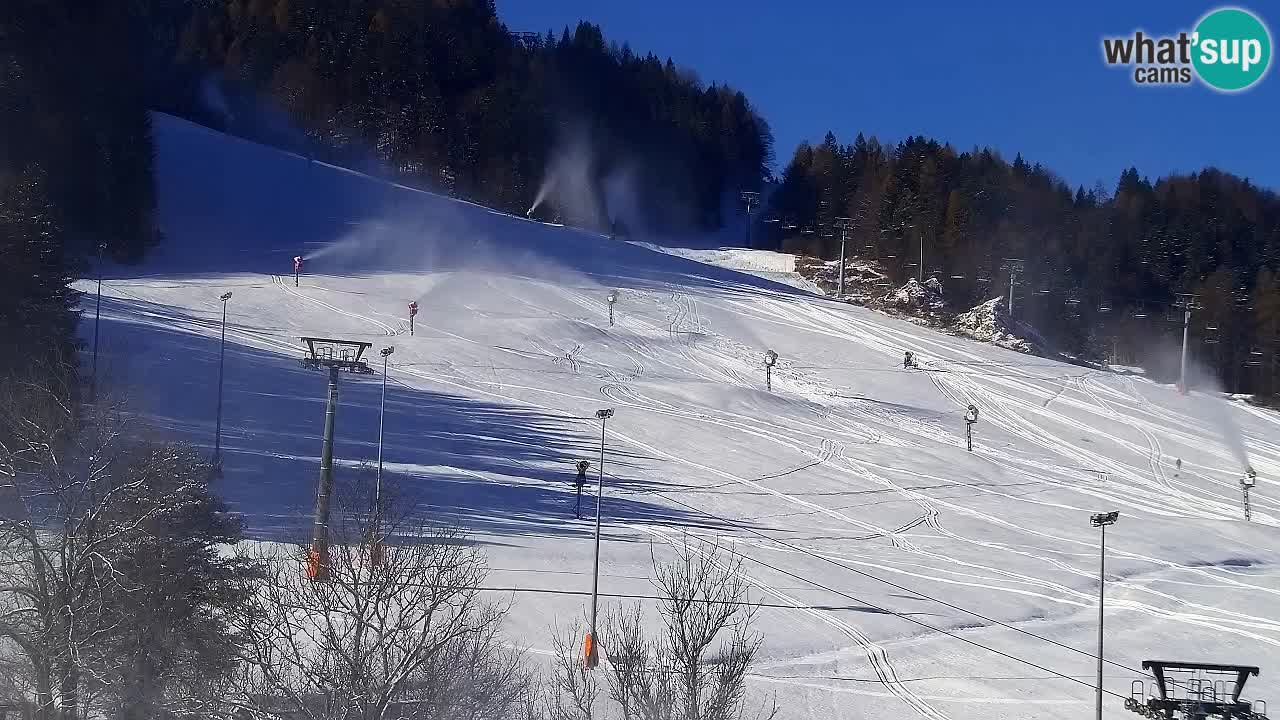 Kamera Kranjska Gora | Plaža in proge Kekec in Mojca