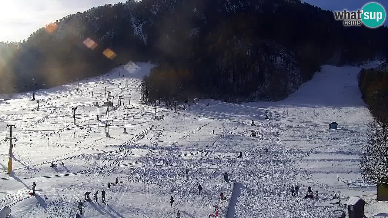 Webcam Kranjska Gora SKI – panoramica Piste centrali