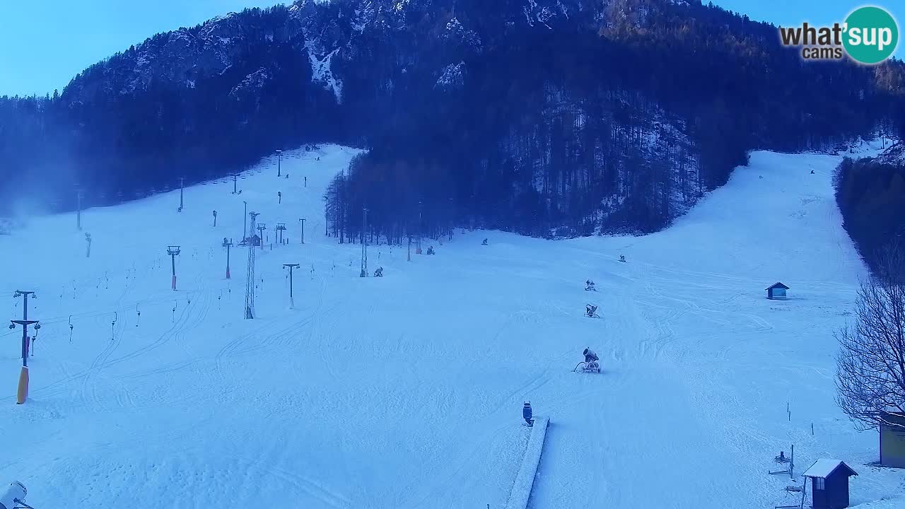 Webcam Kranjska Gora SKI – panoramica Piste centrali