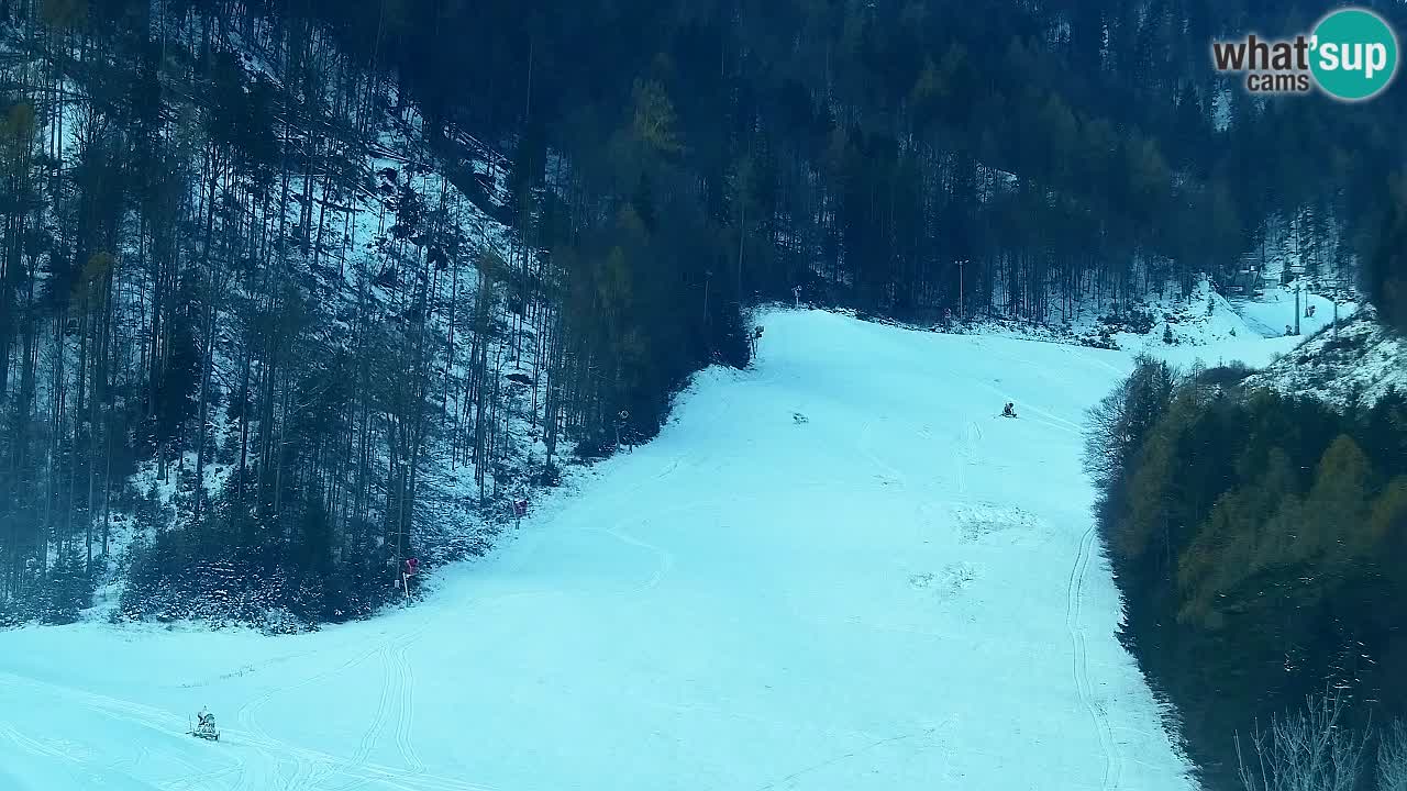 Web kamera Kranjska Gora Skijalište | Proge Mojca in Kekec