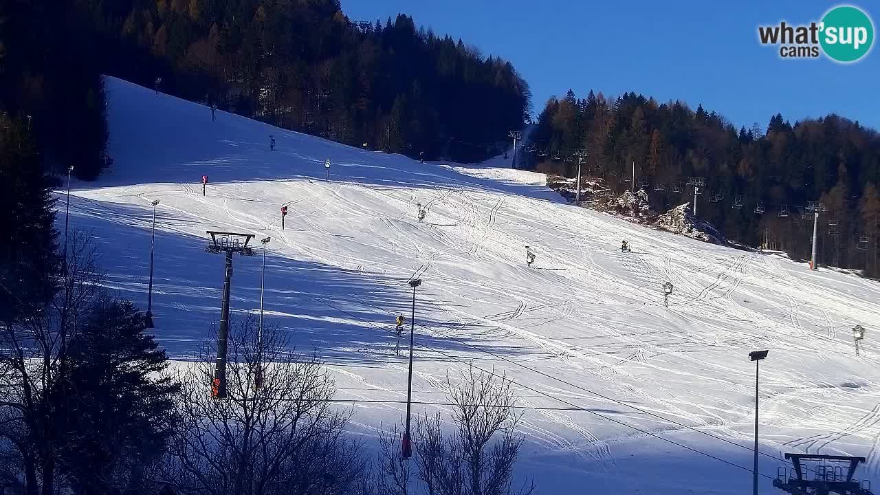 Webcam Kranjska Gora SKI – panoramica Piste centrali