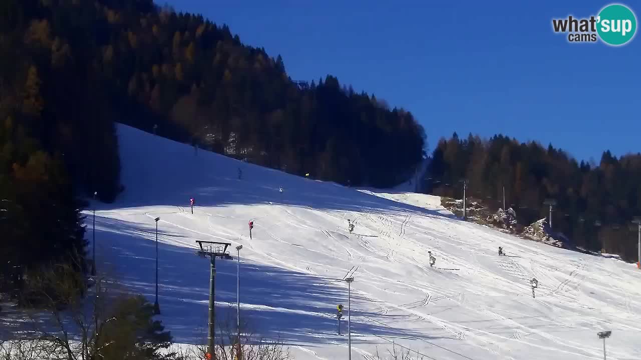 Webcam Kranjska Gora SKI – panoramica Piste centrali