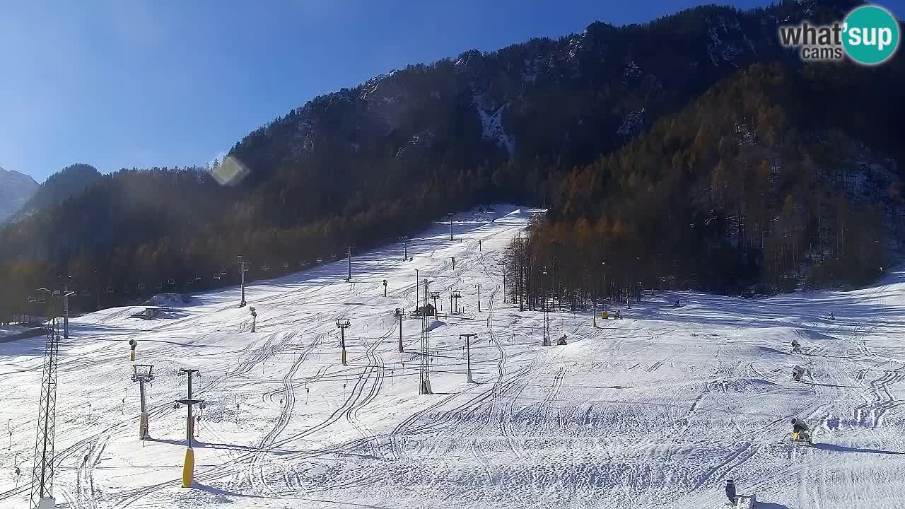 Webcam Kranjska Gora SKI – panoramica Piste centrali