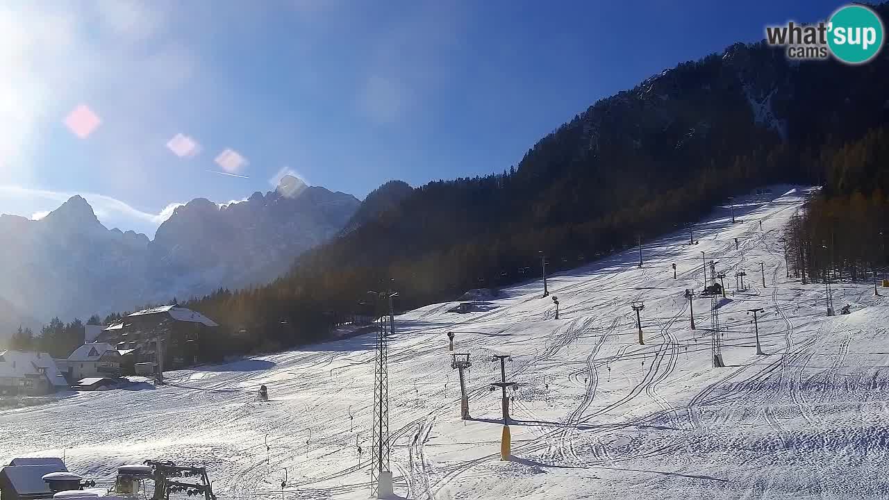 Webcam Kranjska Gora SKI – panoramica Piste centrali