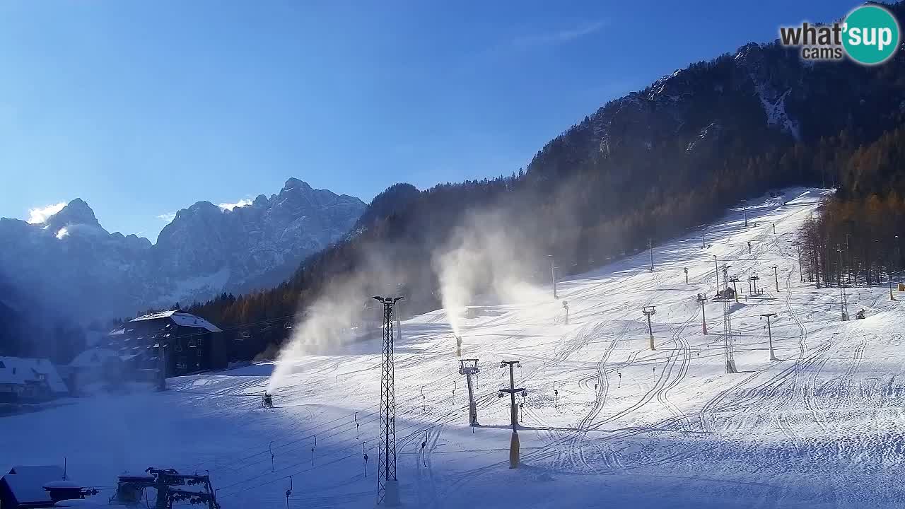 Webcam Kranjska Gora SKI – panoramica Piste centrali