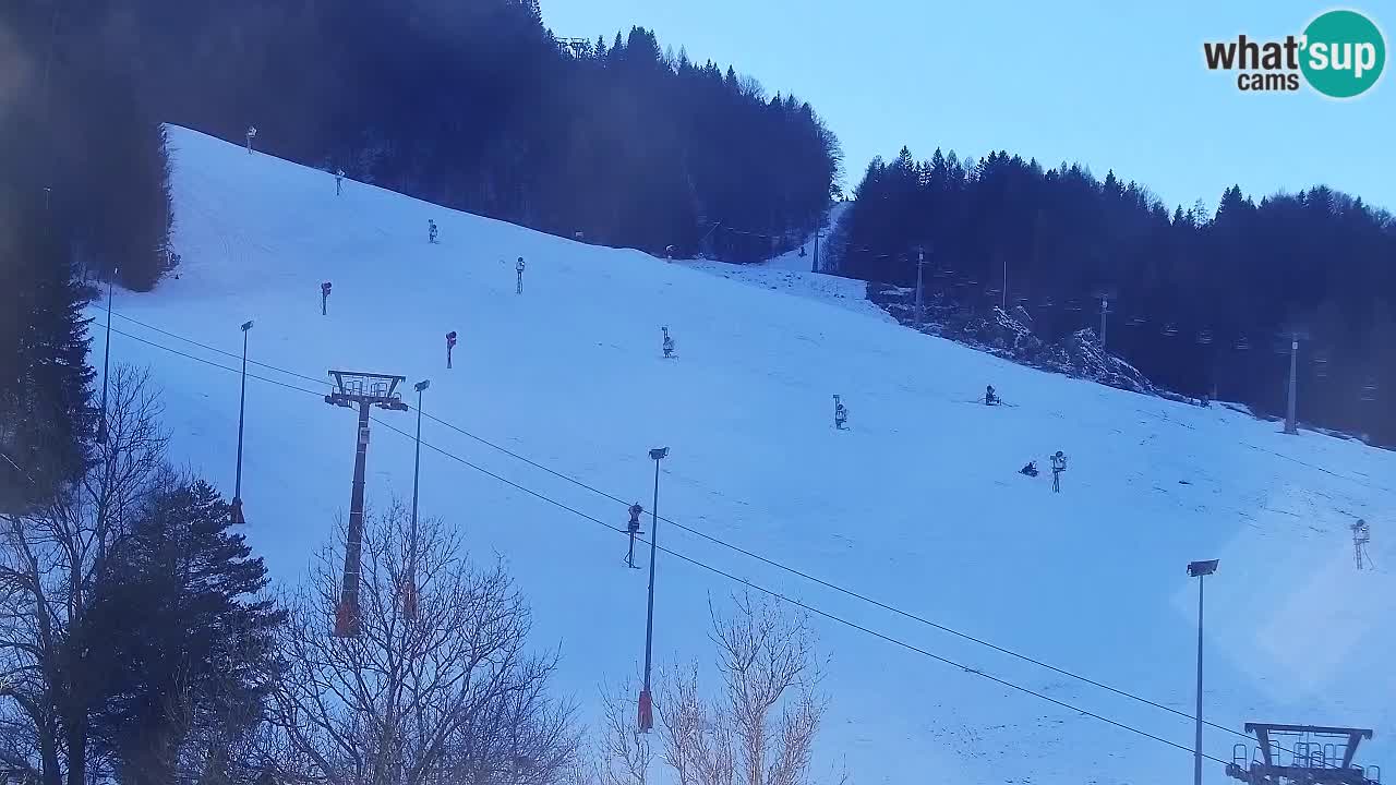 Webcam Kranjska Gora SKI – panoramica Piste centrali