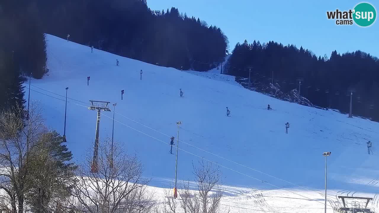 Webcam Kranjska Gora SKI – panoramica Piste centrali