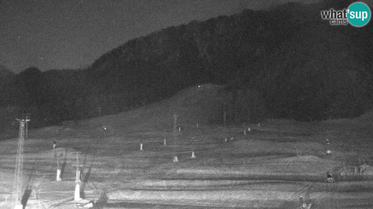 Webcam Kranjska Gora SKI – panoramica Piste centrali