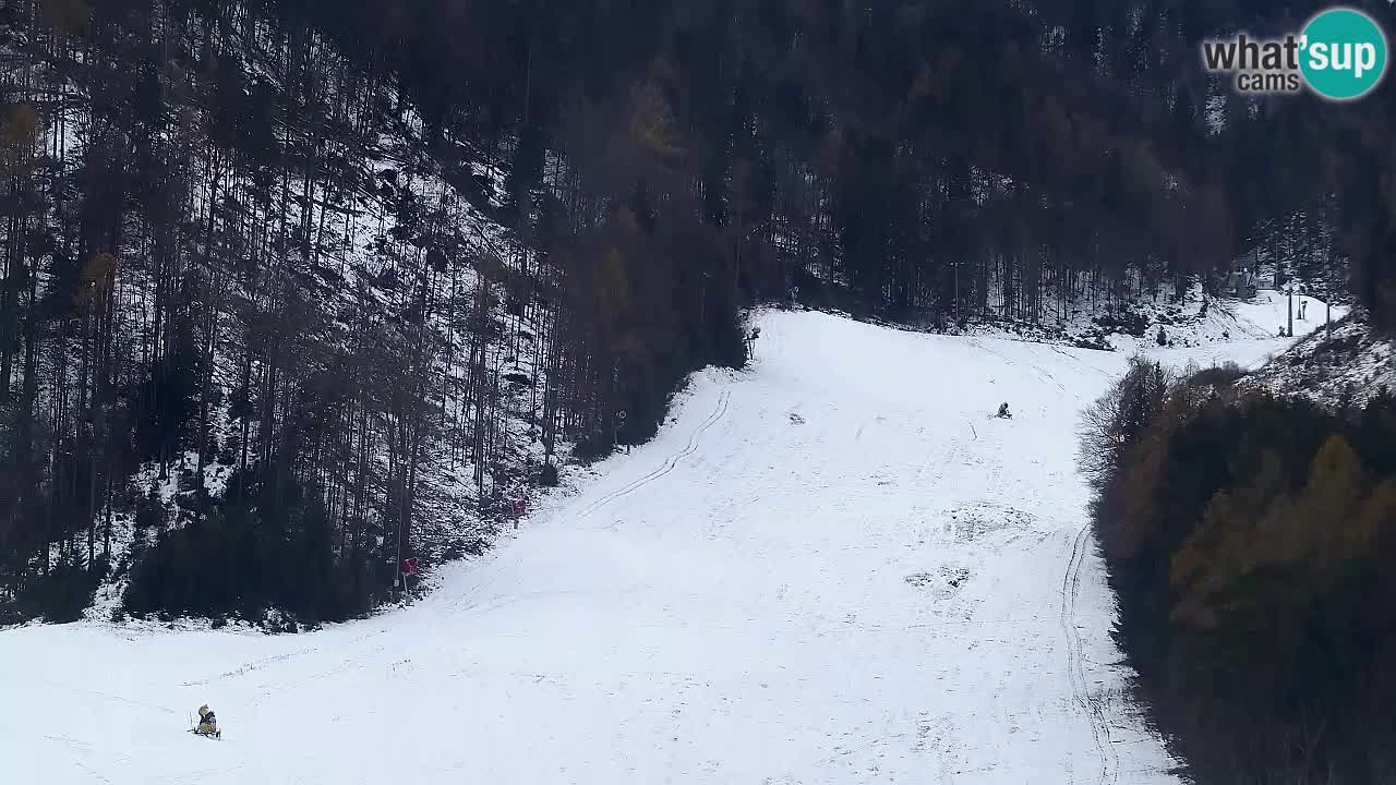 Webcam Kranjska Gora SKI – panoramica Piste centrali