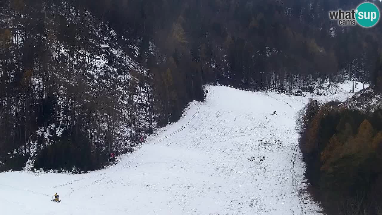 Webcam Kranjska Gora SKI – panoramica Piste centrali