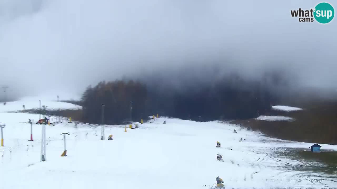 Webcam Kranjska Gora SKI – panoramica Piste centrali