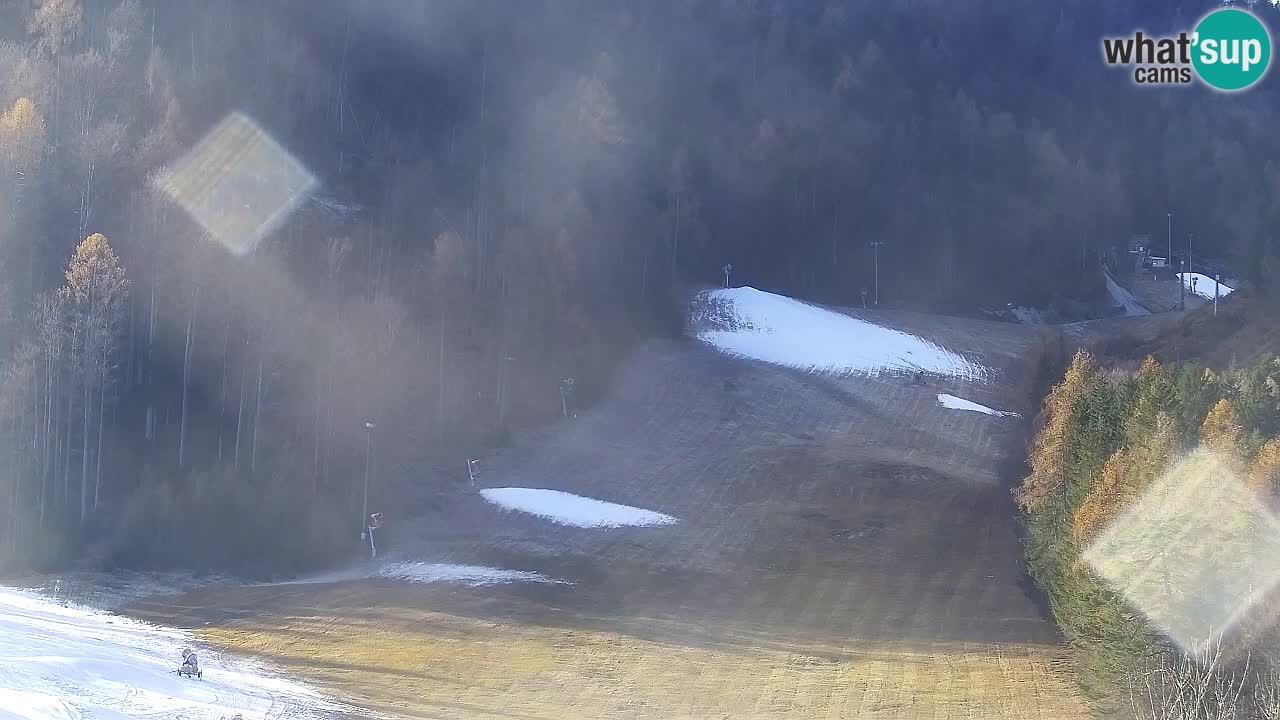 Webcam Kranjska Gora SKI – panoramica Piste centrali