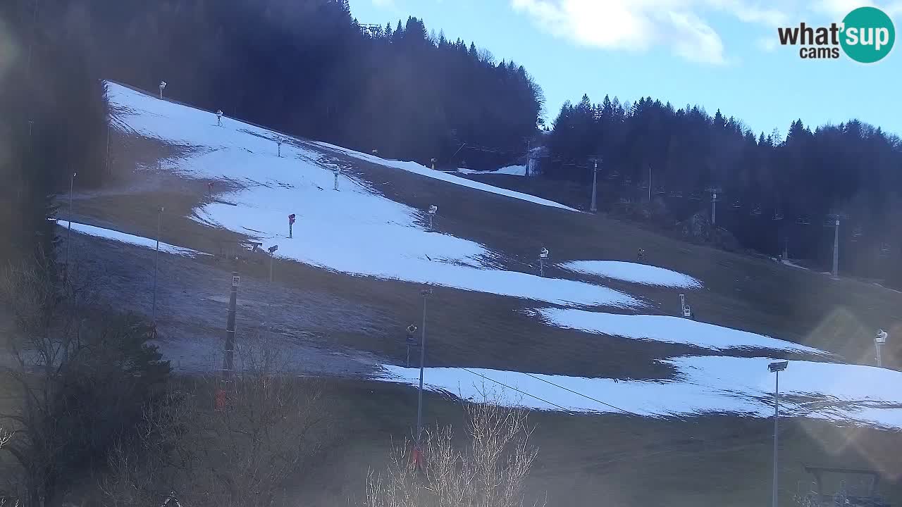 Webcam Kranjska Gora SKI – panoramica Piste centrali