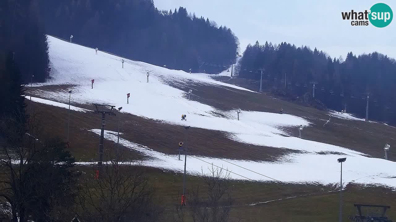 Webcam Kranjska Gora SKI – panoramica Piste centrali