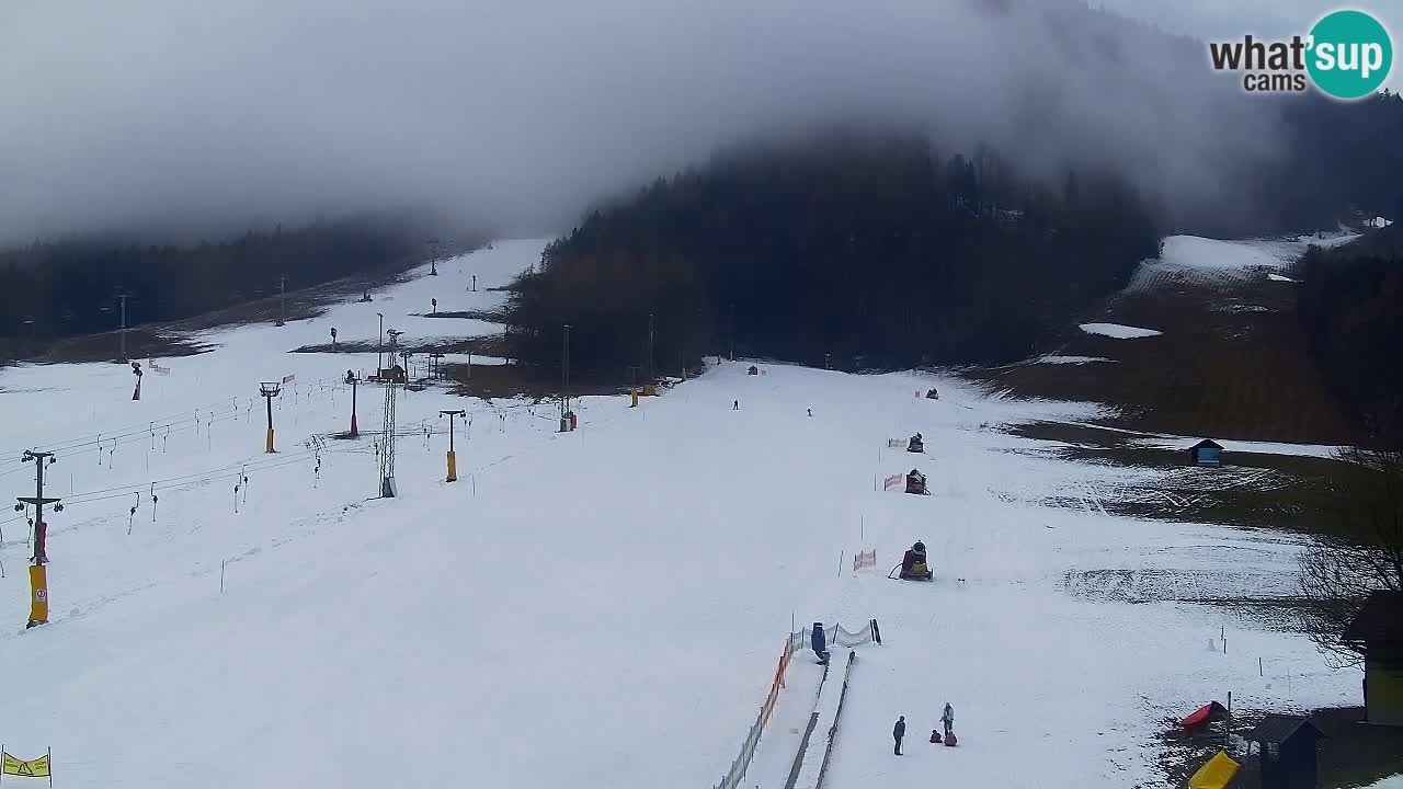 Webcam Kranjska Gora SKI – panoramica Piste centrali