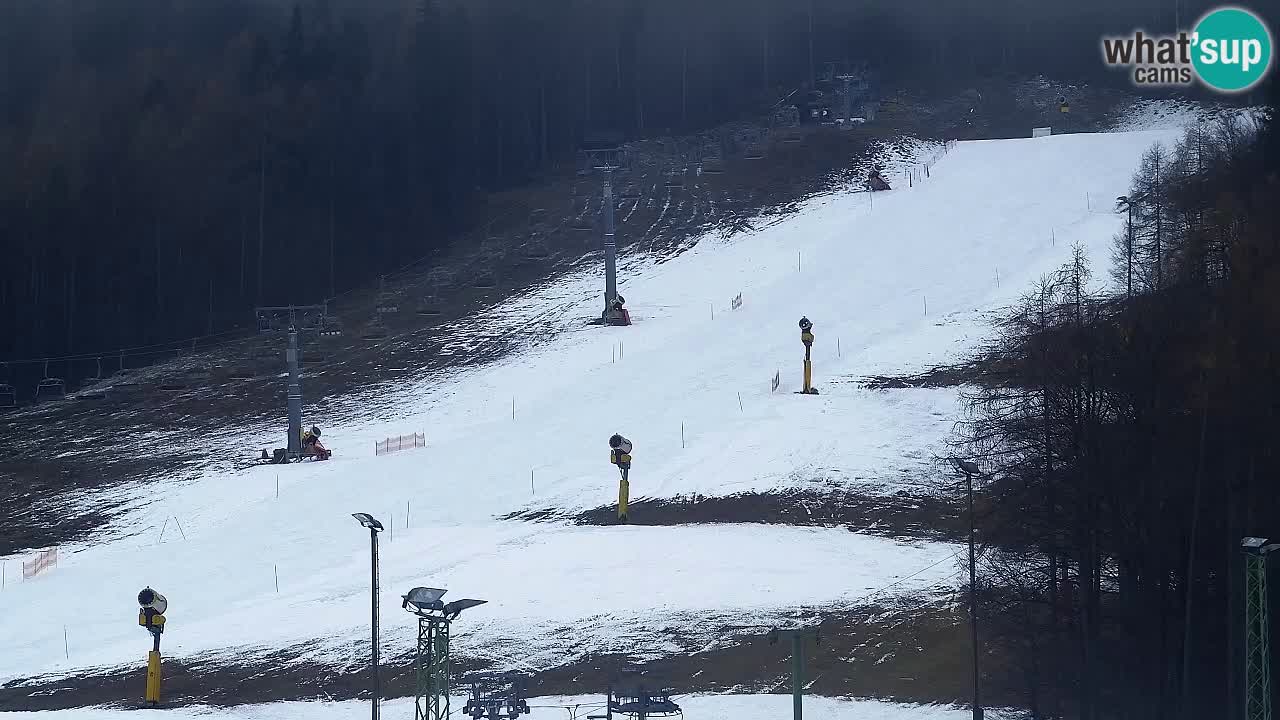 Webcam Kranjska Gora SKI – panoramica Piste centrali