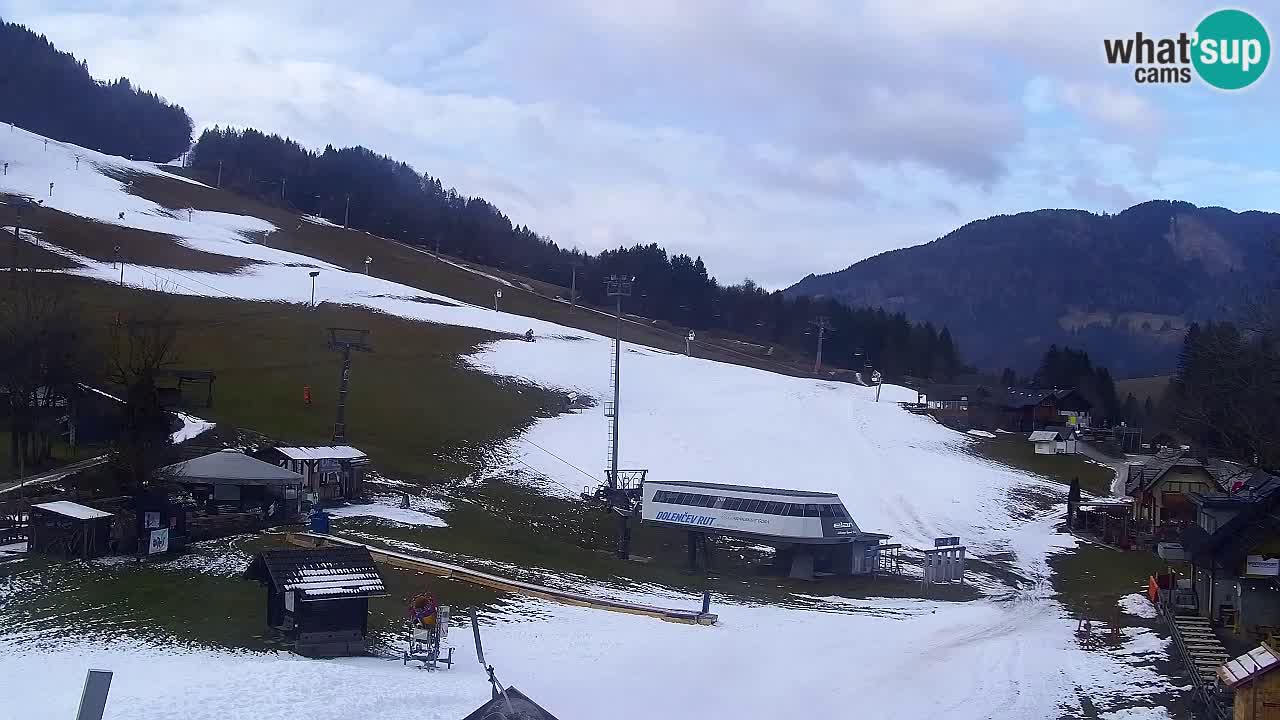 Webcam Kranjska Gora SKI – panoramica Piste centrali