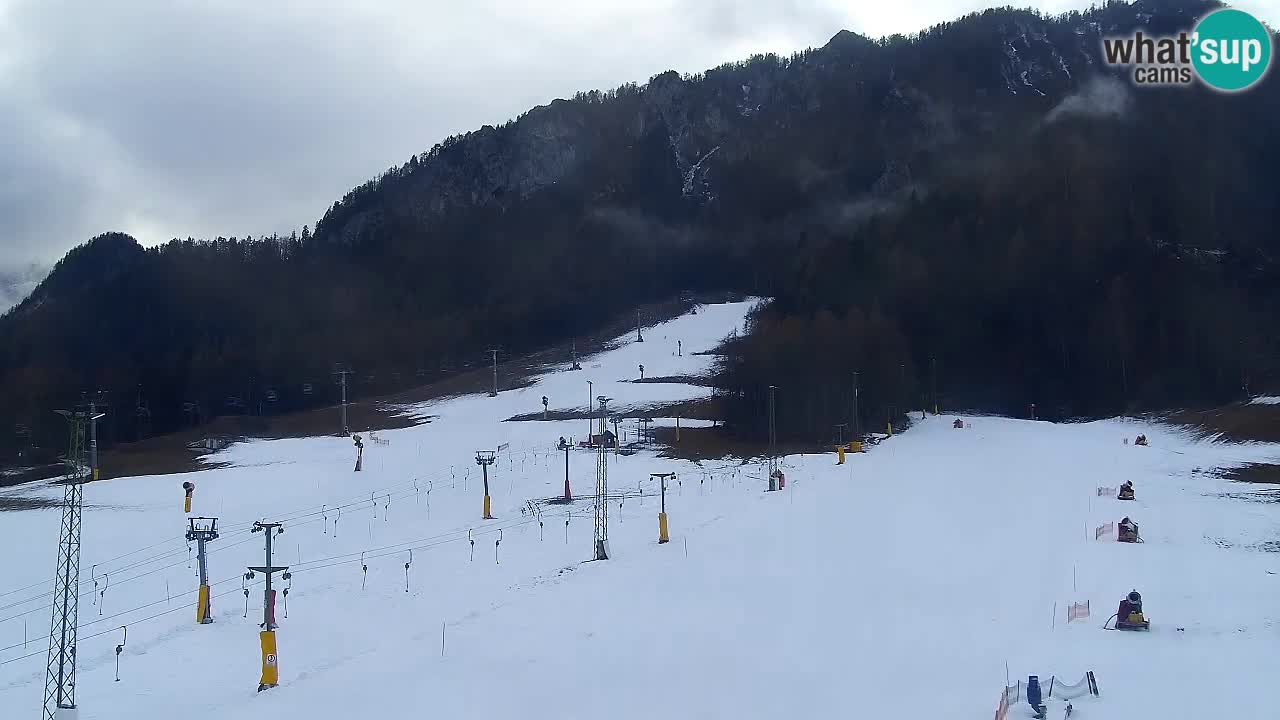 Webcam Kranjska Gora SKI – panoramica Piste centrali