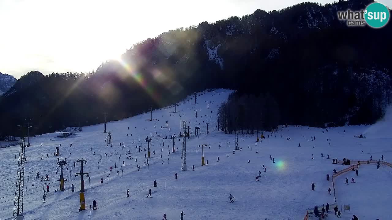 Webcam Kranjska Gora SKI resort | Bech, Kekec, Mojca ski