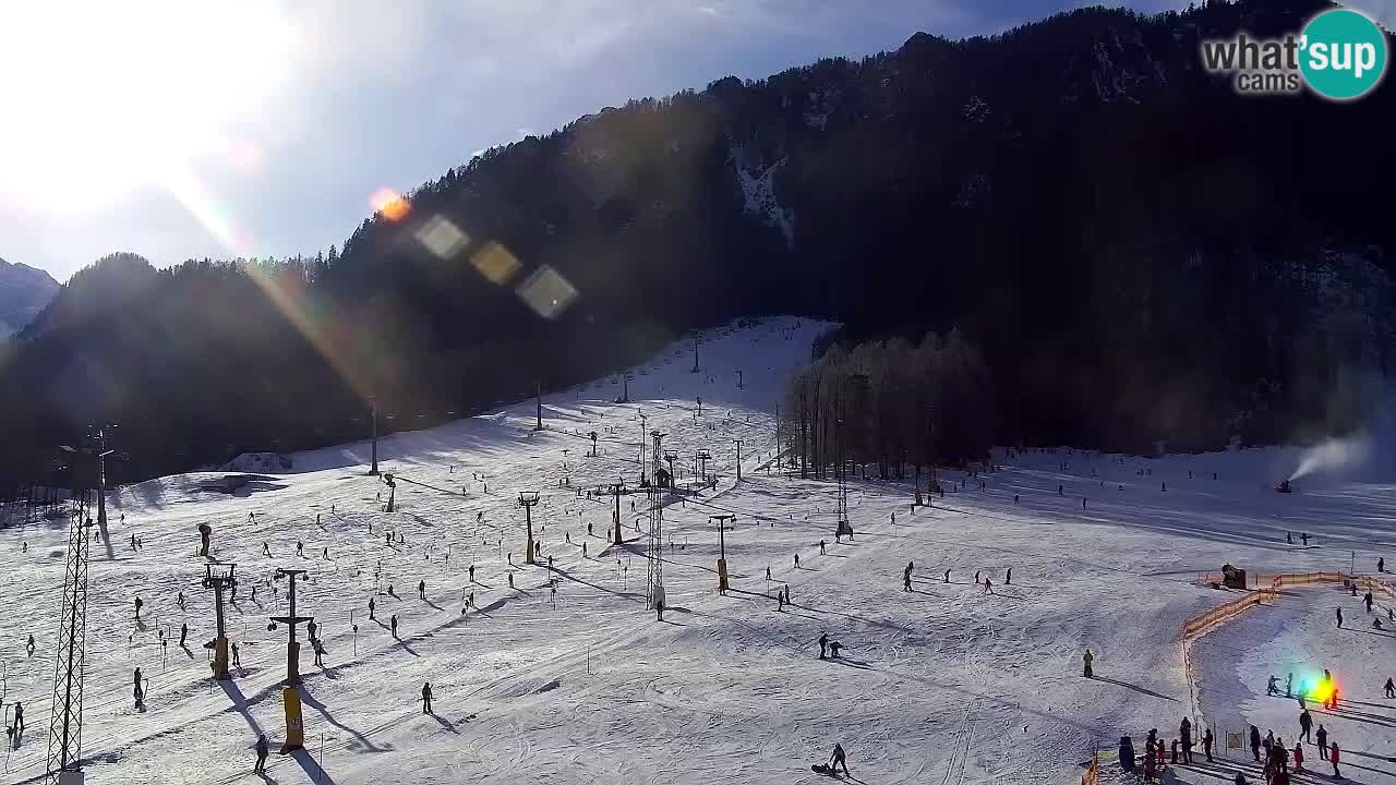 Webcam Kranjska Gora SKI resort | Bech, Kekec, Mojca ski